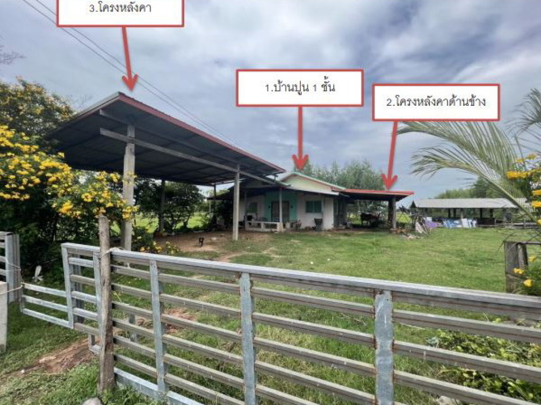 บ้านเดี่ยว ร้อยเอ็ด ปทุมรัตต์ หนองแคน 883000
