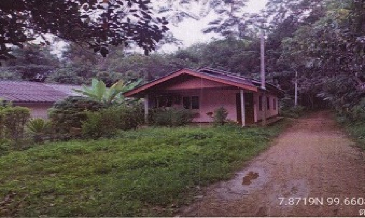 บ้านเดี่ยว ตรัง รัษฎา หนองปรือ 624330