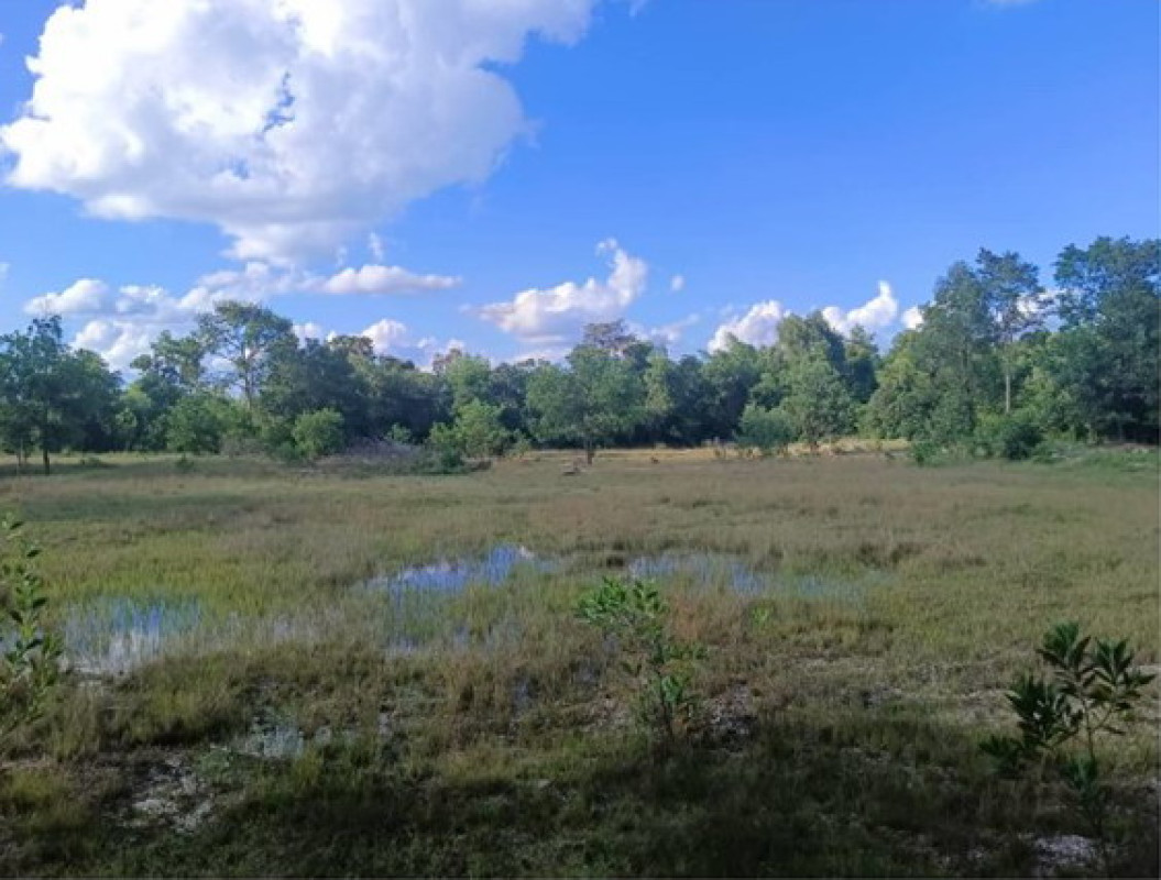 Residential land/lot Nakhon Phanom Mueang Nakhon Phanom Nong Yat 709560