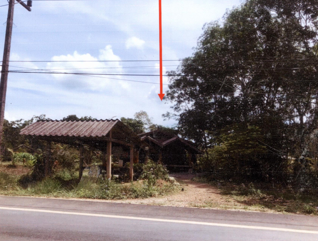 บ้านเดี่ยว พัทลุง ศรีบรรพต เขาย่า 874775