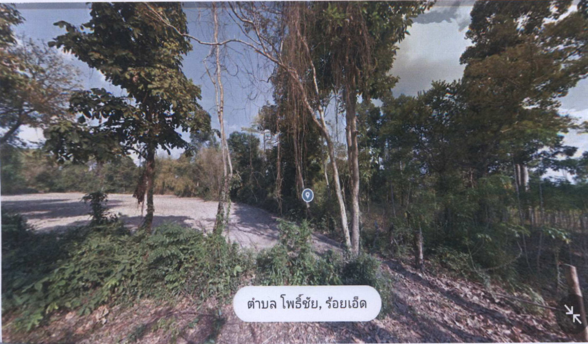 ที่ดินเปล่า ร้อยเอ็ด พนมไพร โพธิ์ชัย 441000
