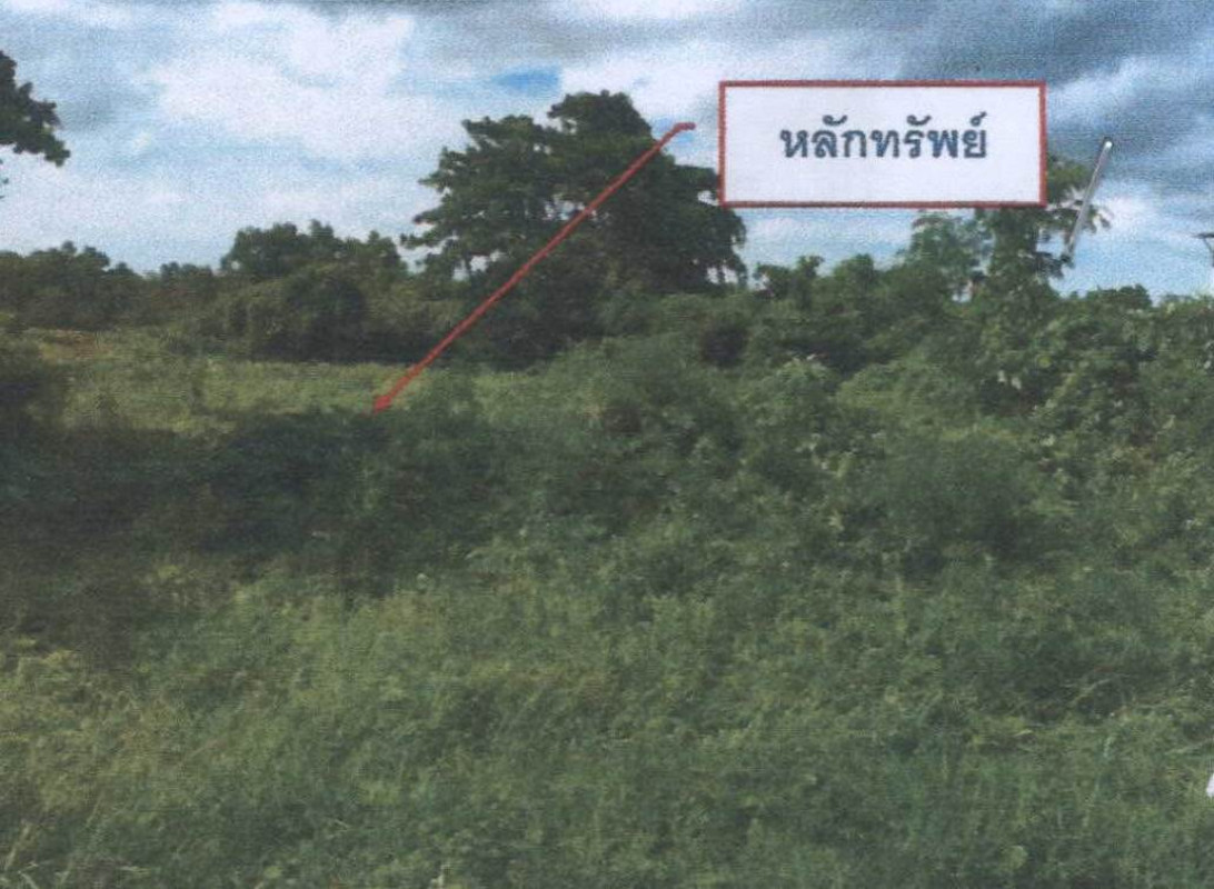 ที่ดินเปล่า สุราษฎร์ธานี เมืองสุราษฎร์ธานี คลองฉนาก 4547400