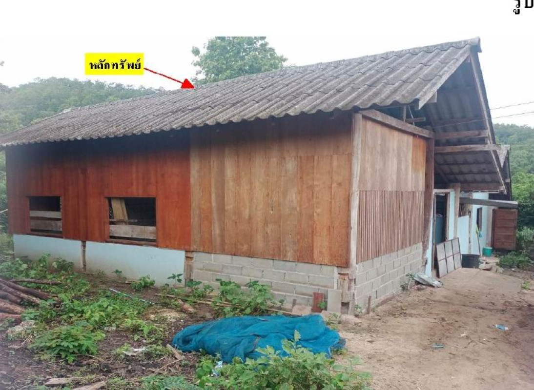 บ้านเดี่ยว แม่ฮ่องสอน แม่ลาน้อย แม่ลาน้อย 559755
