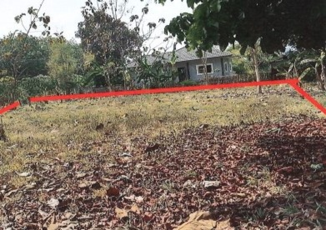ที่ดินเปล่า อุดรธานี หนองหาน หนองไผ่ 176550