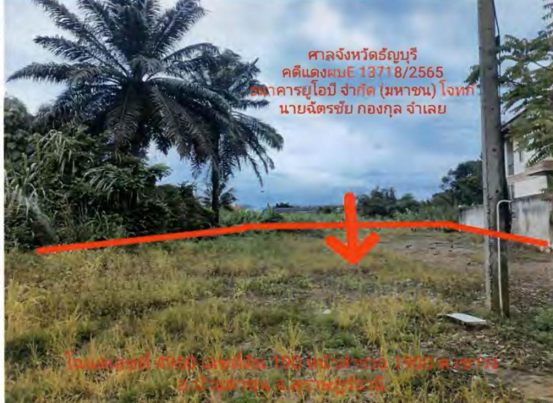 ที่ดินเปล่า สุราษฎร์ธานี บ้านตาขุน เขาวง 745000