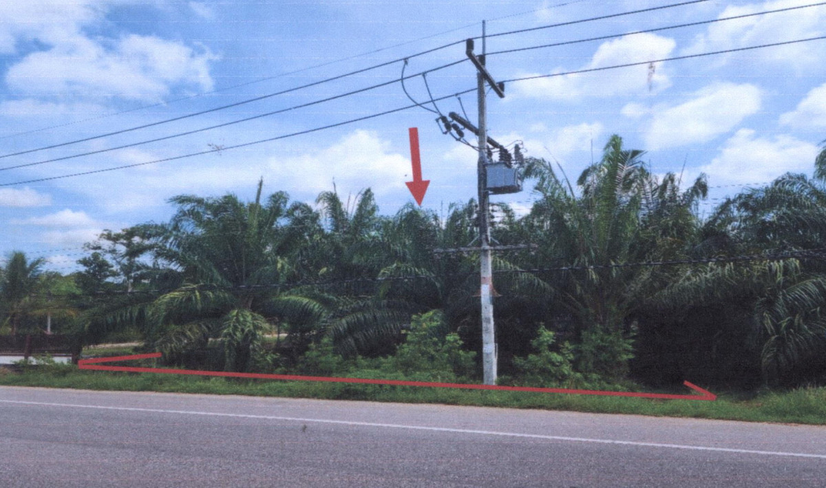 Residential land/lot Phatthalung Srinagarindra Chum Phon 1979740