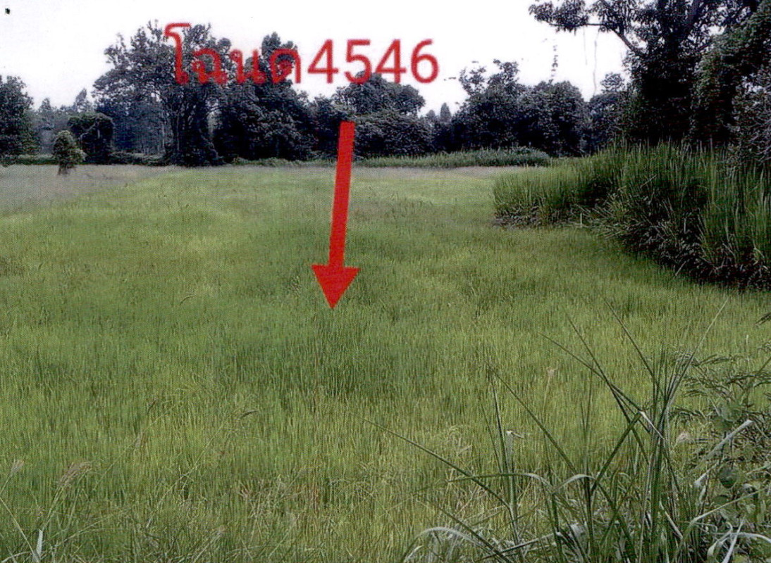 ที่ดินเปล่า ร้อยเอ็ด ธวัชบุรี หนองไผ่ 325000