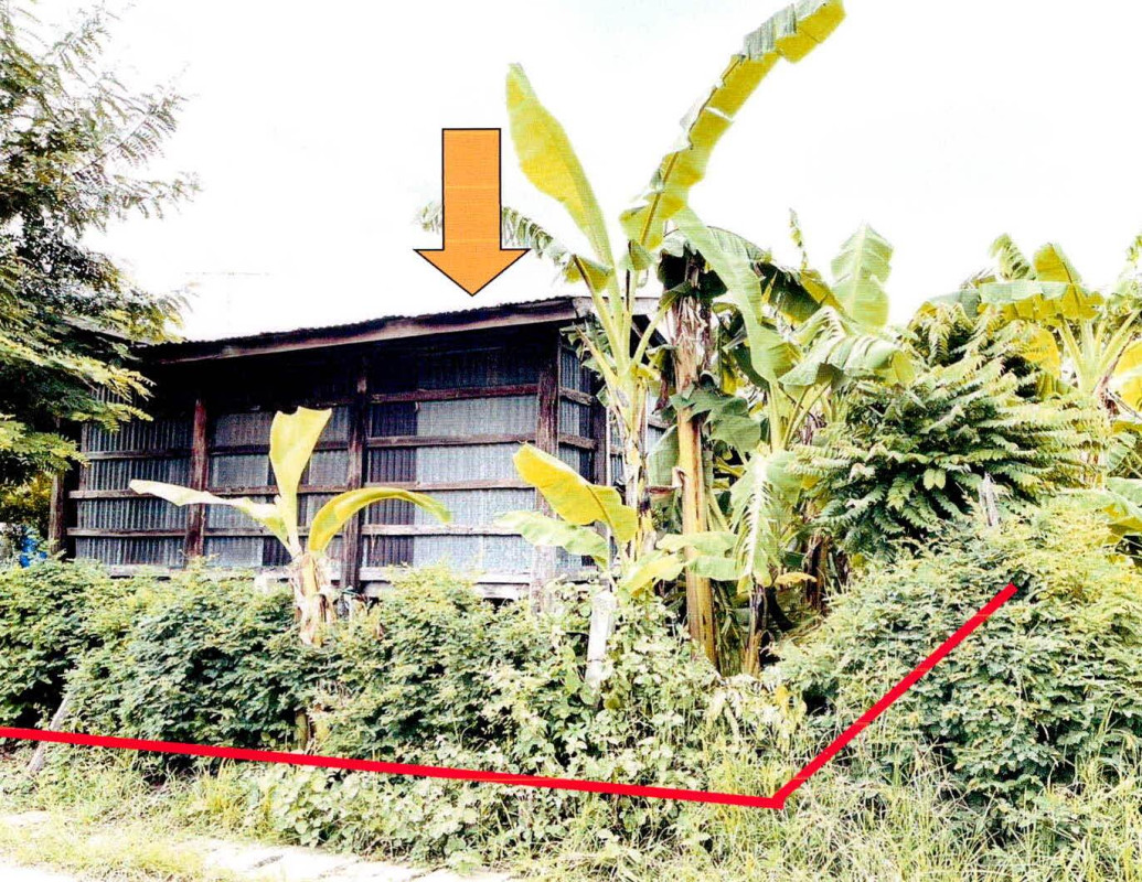 บ้านเดี่ยว สุรินทร์ เขวาสินรินทร์ เขวาสินรินทร์ 92439