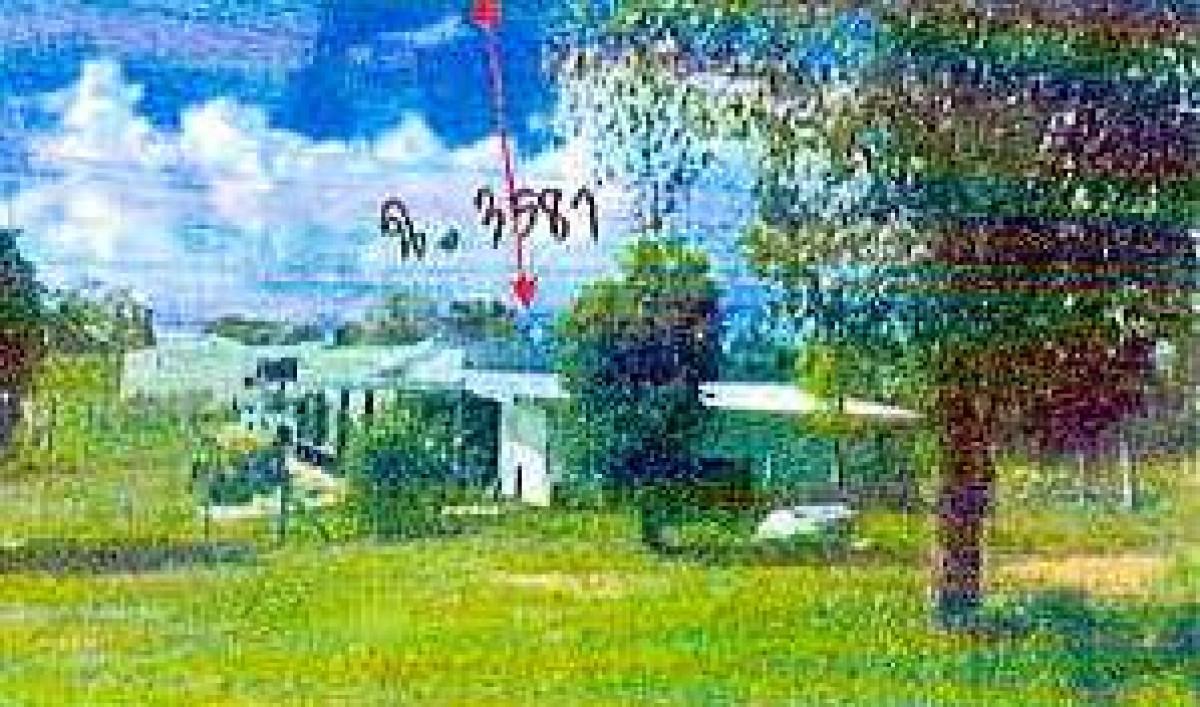 บ้านเดี่ยว เลย ภูเรือ ร่องจิก 4949000