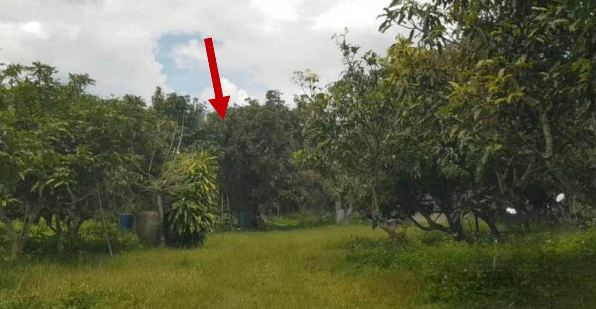 ที่ดินเปล่า ลำพูน ทุ่งหัวช้าง ตะเคียนปม 173910