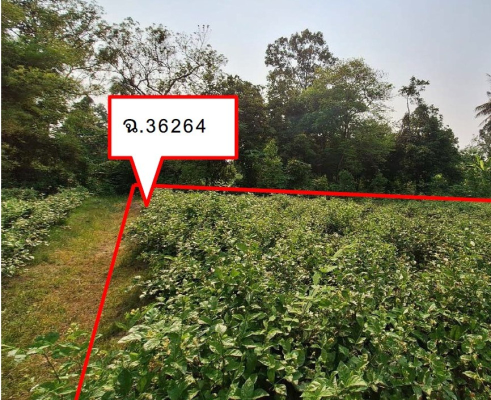 ที่ดินเปล่า พิจิตร โพทะเล ทะนง 102900