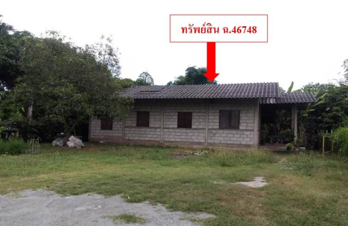 บ้านเดี่ยว ลำพูน ป่าซาง นครเจดีย์ 520450