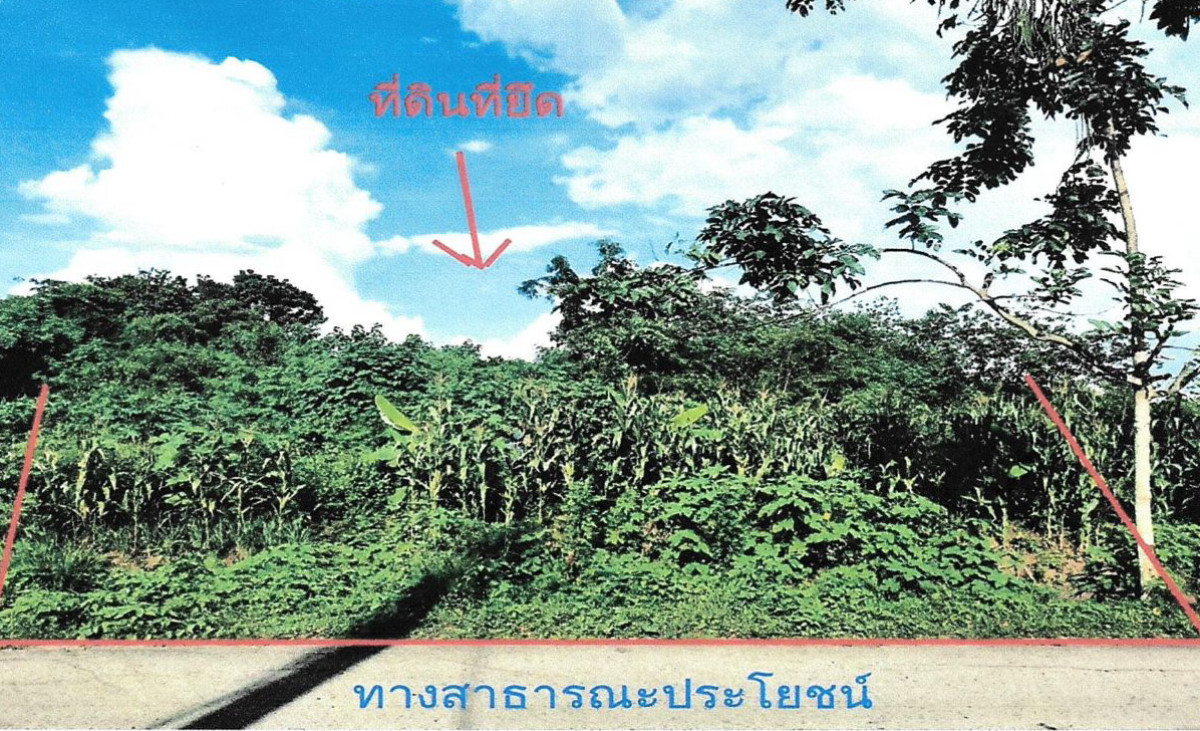 ที่ดินเปล่า ลพบุรี ชัยบาดาล ลำนารายณ์ 55000