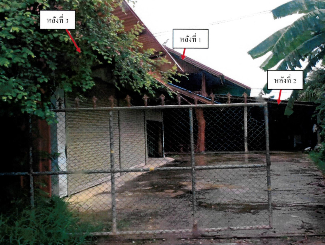 บ้านเดี่ยว เชียงราย เทิง งิ้ว 805575