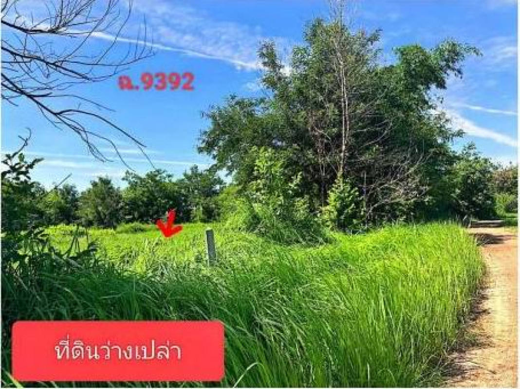 ที่ดินเปล่า ร้อยเอ็ด จังหาร แสนชาติ 566700
