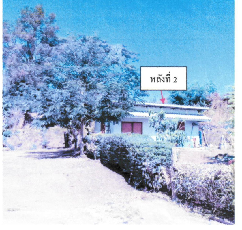 บ้านเดี่ยว เชียงราย เทิง หงาว 1034150