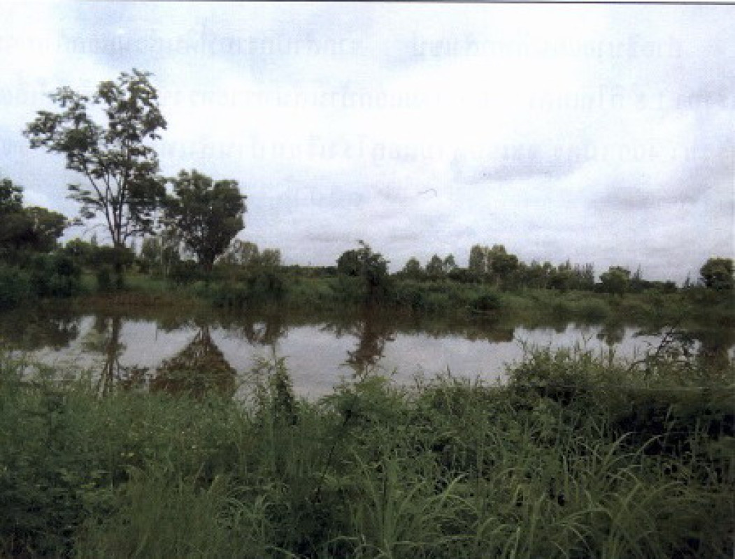 ที่ดินเปล่า ลำพูน บ้านธิ บ้านธิ 324480