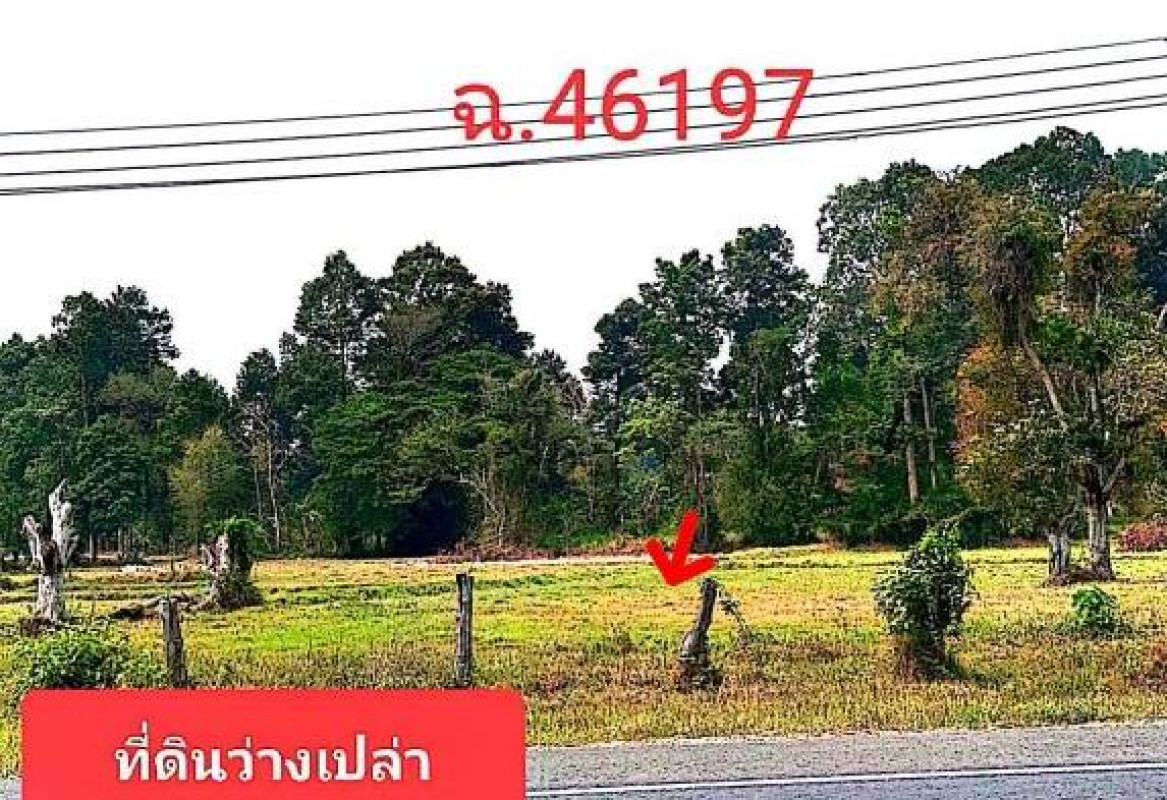 ที่ดินเปล่า ร้อยเอ็ด อาจสามารถ อาจสามารถ 431340