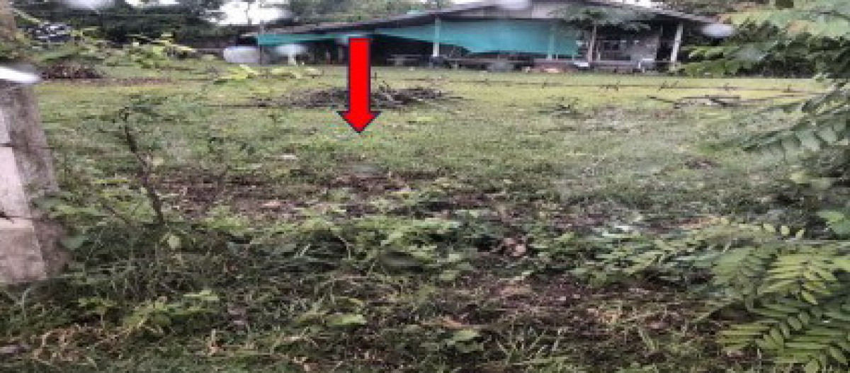 ที่ดินเปล่า ร้อยเอ็ด สุวรรณภูมิ หินกอง 104040