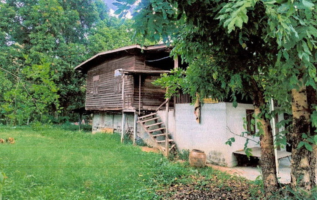 บ้านเดี่ยว สุรินทร์ เมืองสุรินทร์ เฉนียง 309325