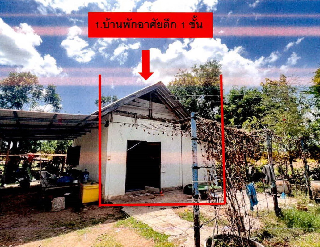 บ้านเดี่ยว สุรินทร์ เมืองสุรินทร์ คอโค 395434