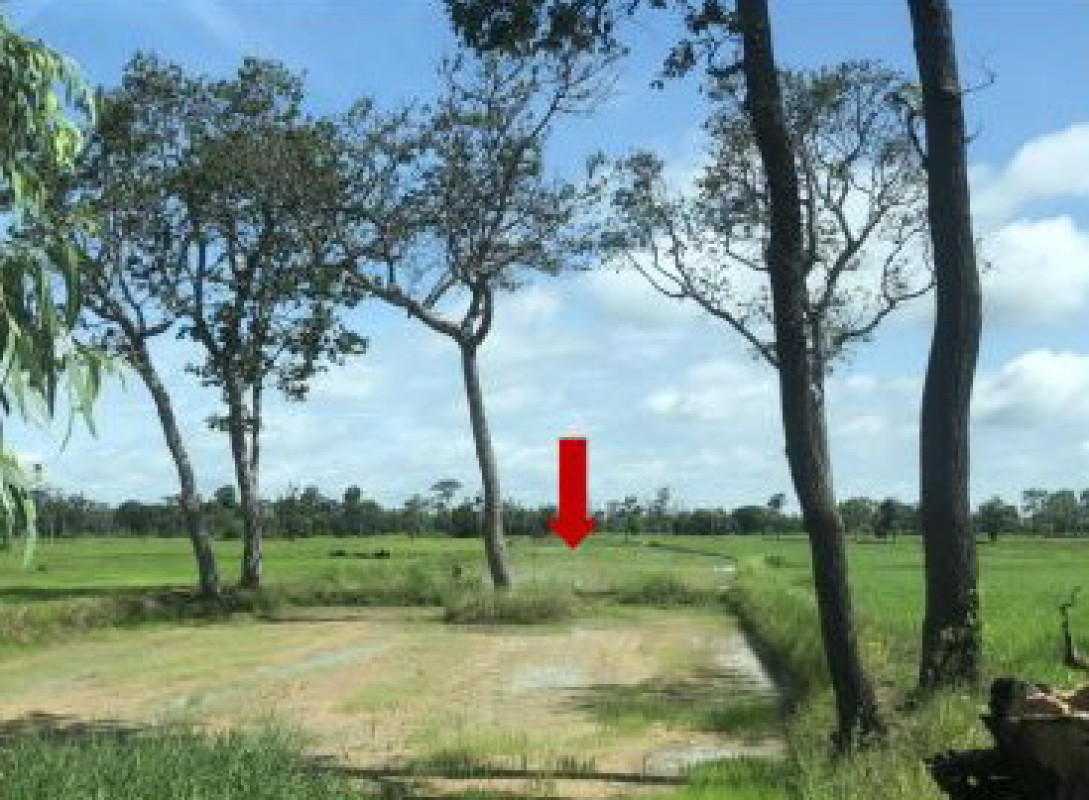 Residential land/lot Roi Et Phanom Phrai Kham Hai 233506