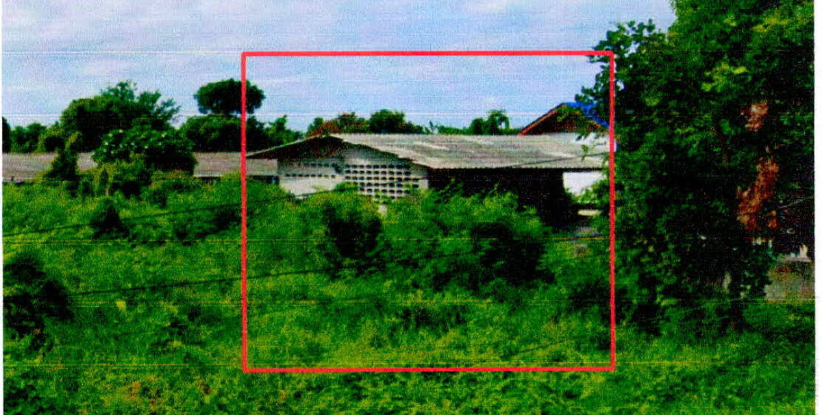 บ้านเดี่ยว กาญจนบุรี พนมทวน รางหวาย 8687000