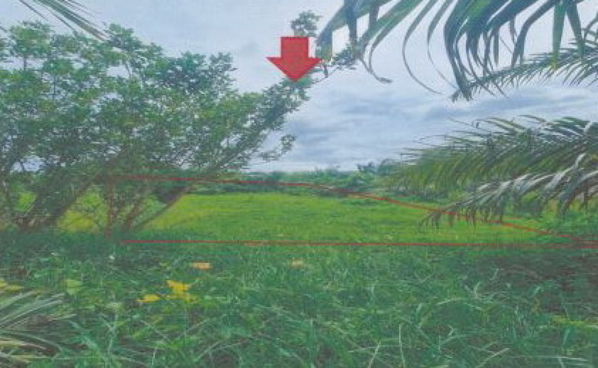 Residential land/lot Nakhon Si Thammarat Sichon Chalong 54600