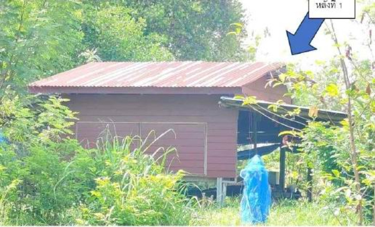 บ้านเดี่ยว ยโสธร มหาชนะชัย โนนทราย 1187747