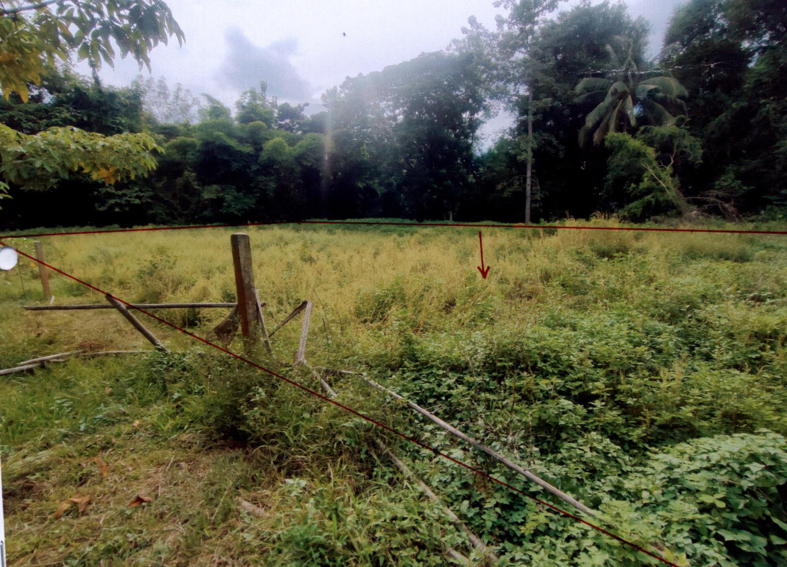 ที่ดินเปล่า น่าน เมืองน่าน ไชยสถาน 129800