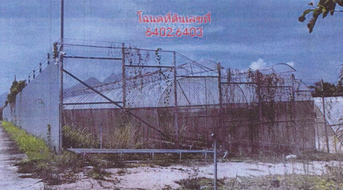 ที่ดินเปล่า สุราษฎร์ธานี บ้านตาขุน เขาพัง 7413000
