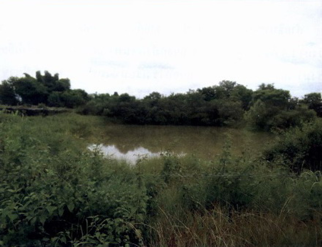 Residential land/lot Lamphun Ban Thi Ban Thi 160000