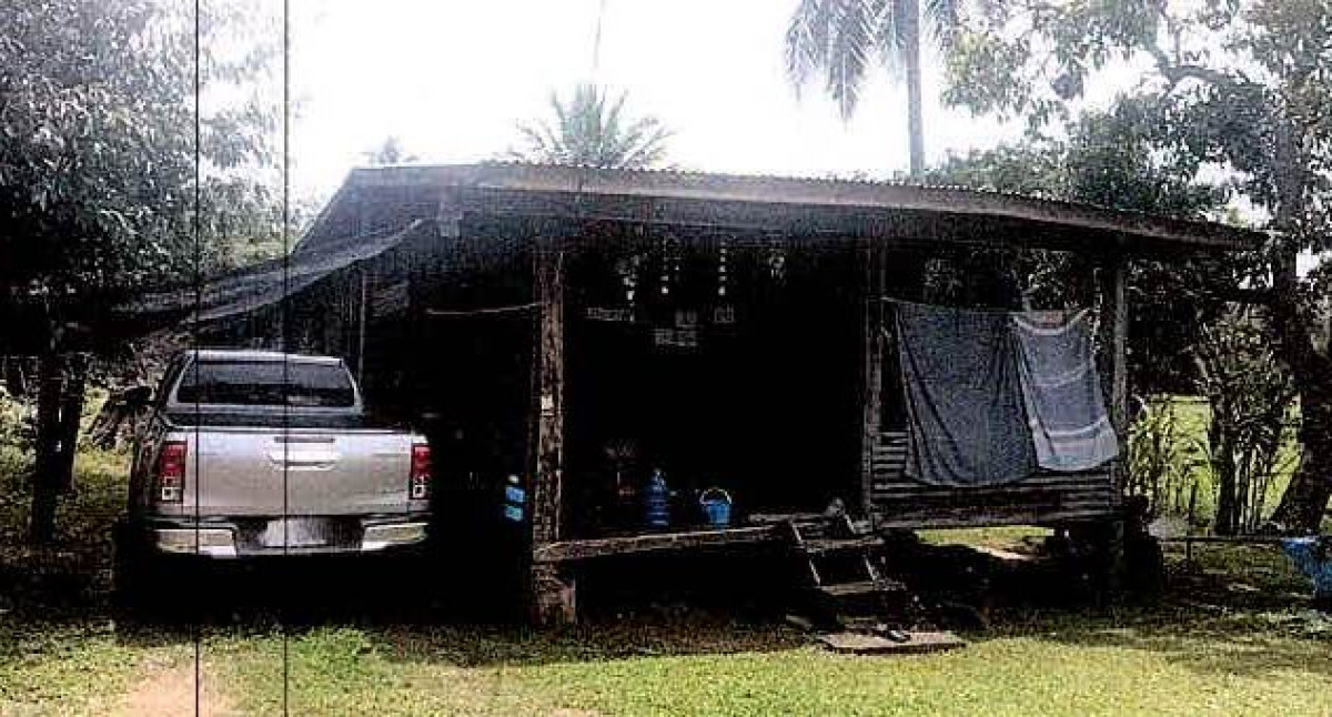 บ้านเดี่ยว เลย ภูเรือ ร่องจิก 88742