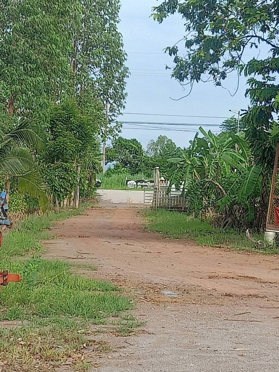 ที่ดินเปล่า ราชบุรี จอมบึง เบิกไพร 10320000