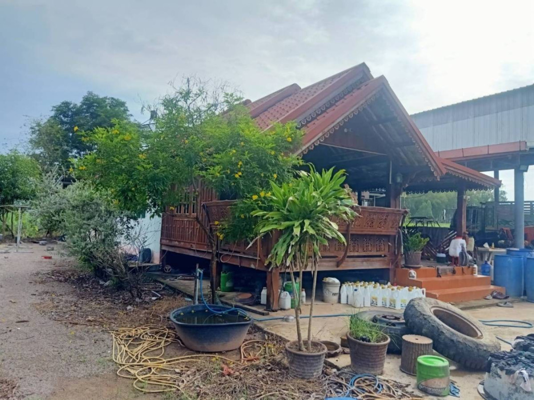ที่ดินเปล่า ราชบุรี จอมบึง เบิกไพร 10320000