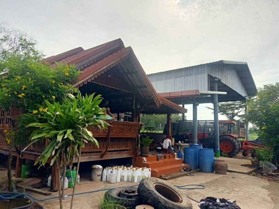 ที่ดินเปล่า ราชบุรี จอมบึง เบิกไพร 10320000