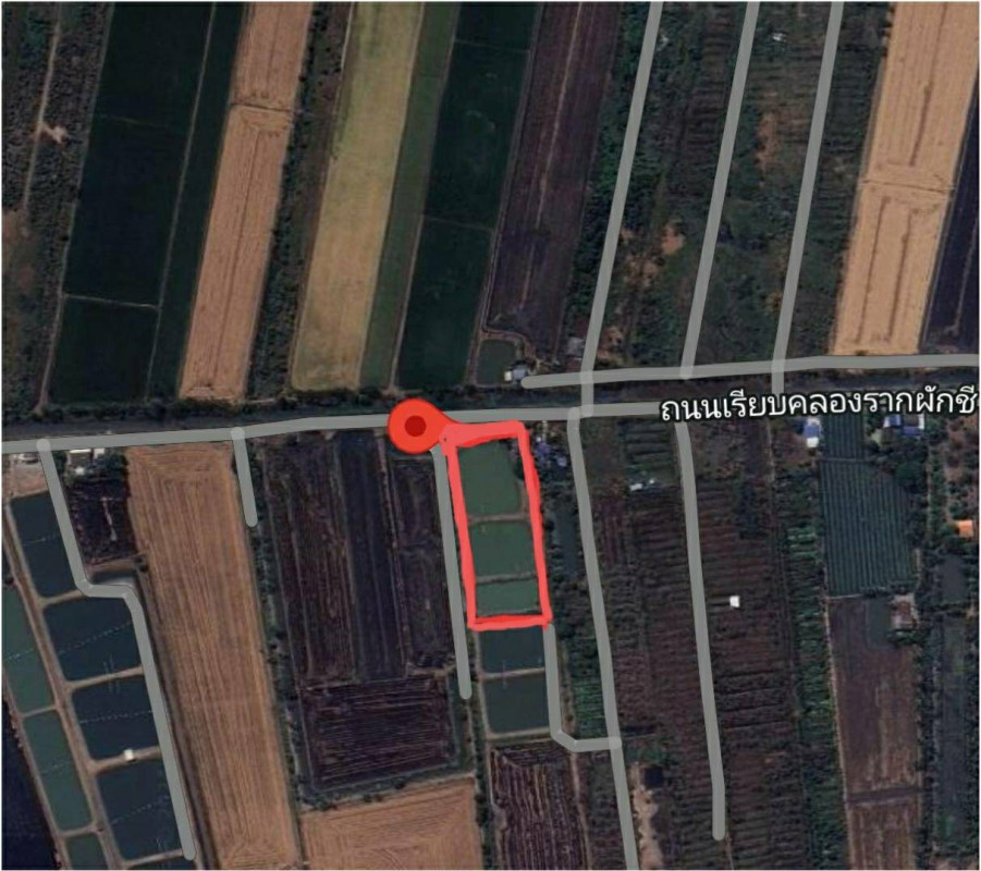 ที่ดินเปล่า นครปฐม บางเลน บางหลวง 12500000