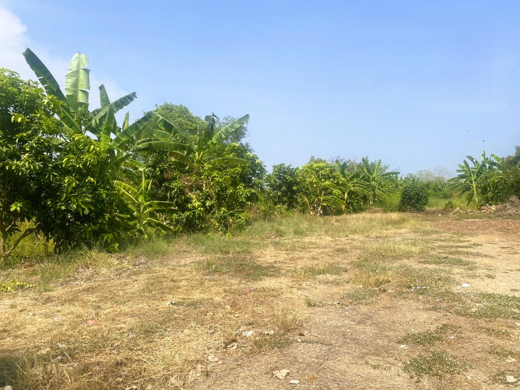 Residential land/lot Pathum Thani Nong Suea Bueng Bon 29500000