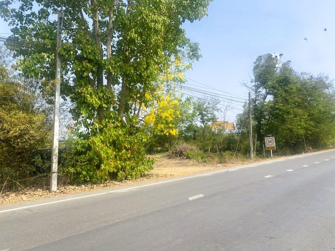 Residential land/lot Pathum Thani Nong Suea Bueng Bon 29500000