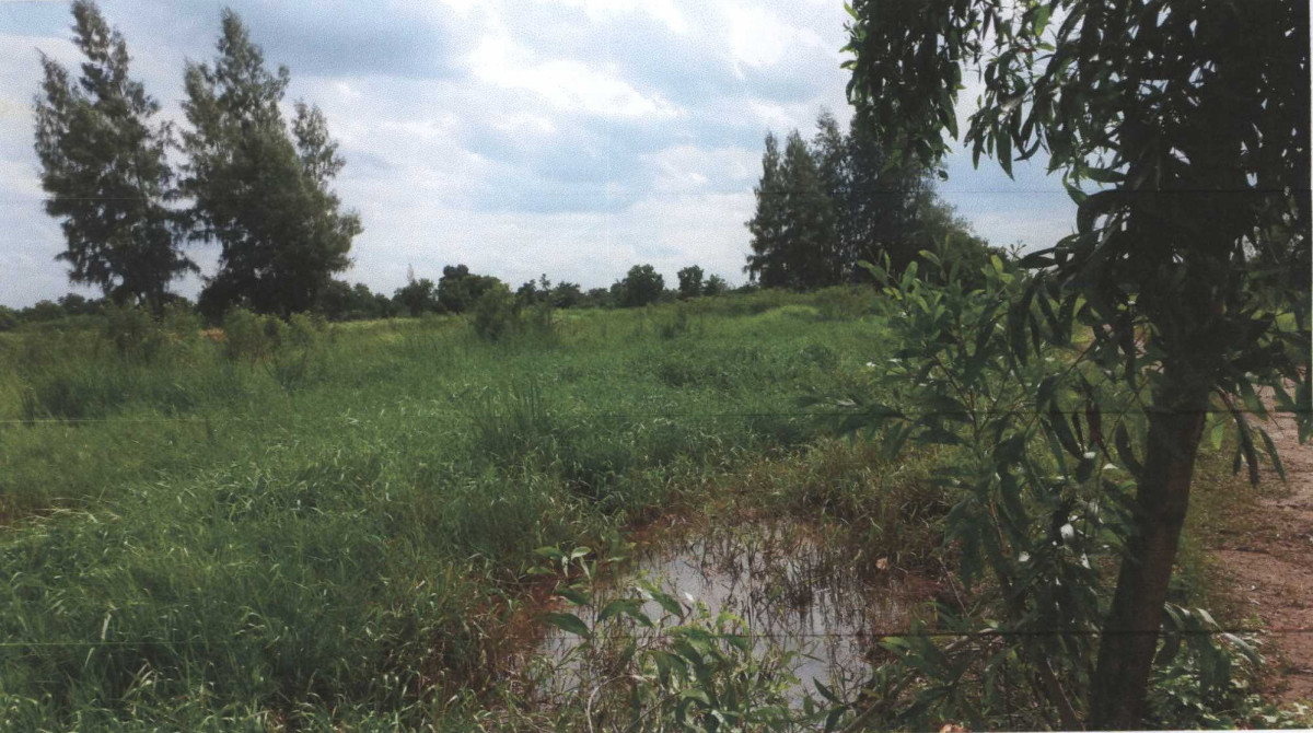 Residential land/lot Pathum Thani Khlong Luang Khlong Sam 2517000