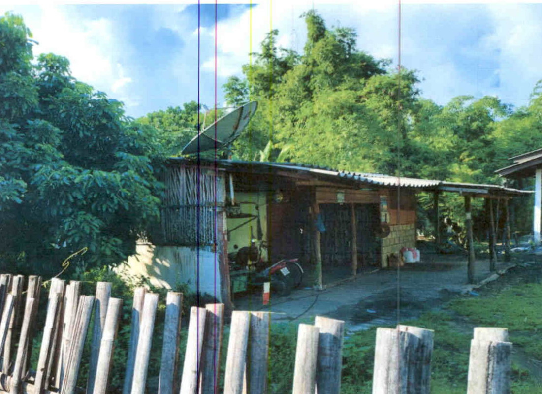บ้านเดี่ยว เชียงใหม่ สันป่าตอง ท่าวังพร้าว 373616