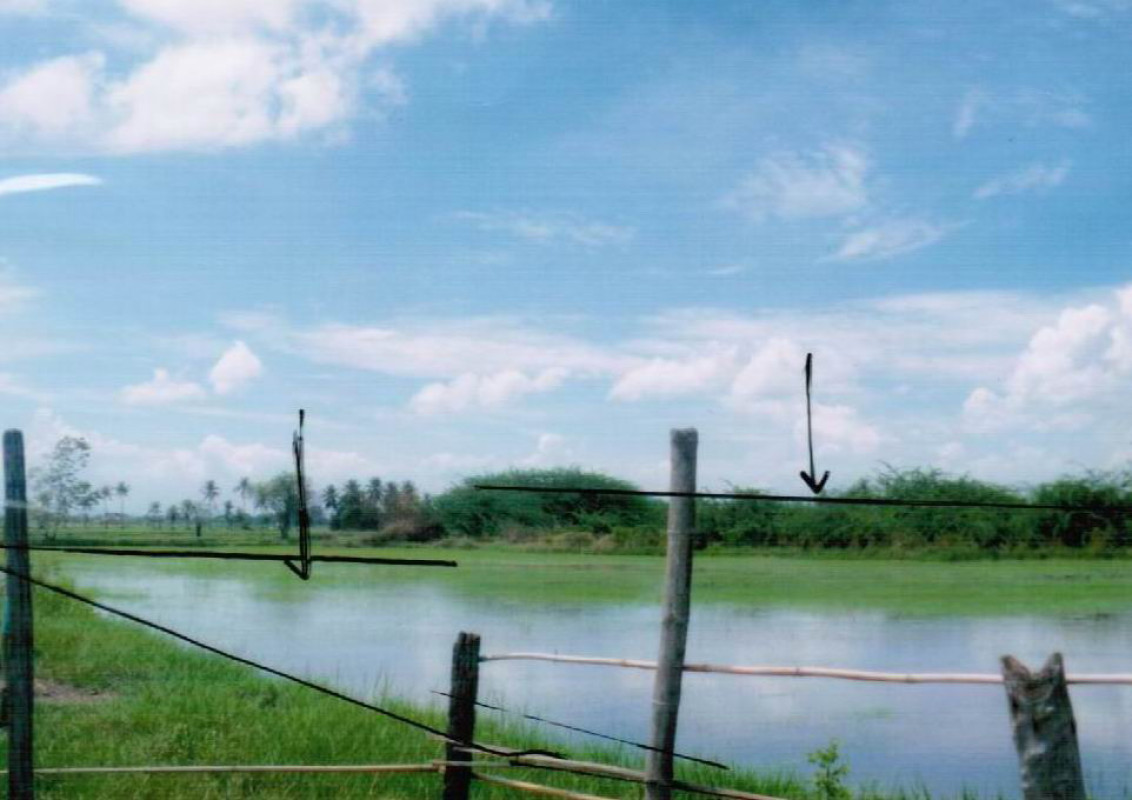 Residential land/lot Phetchaburi Mueang Phetchaburi Hat Chao Samran 7179000