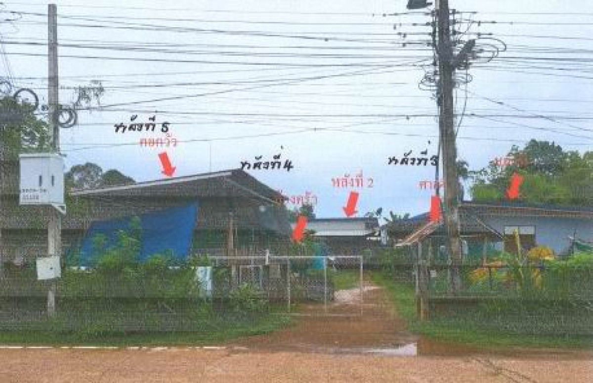 บ้านเดี่ยว นครพนม เรณูนคร เรณูใต้ 1330710