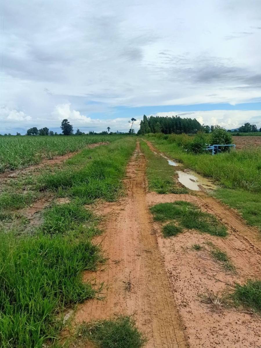 ที่ดินเปล่า ราชบุรี จอมบึง เบิกไพร 16217500