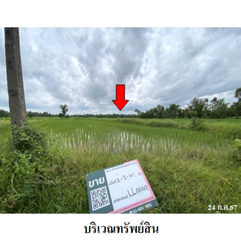 ที่ดินเปล่า สกลนคร อากาศอำนวย บะหว้า 1140000