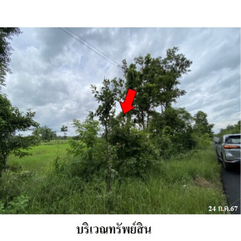 ที่ดินเปล่า สกลนคร อากาศอำนวย บะหว้า 1140000