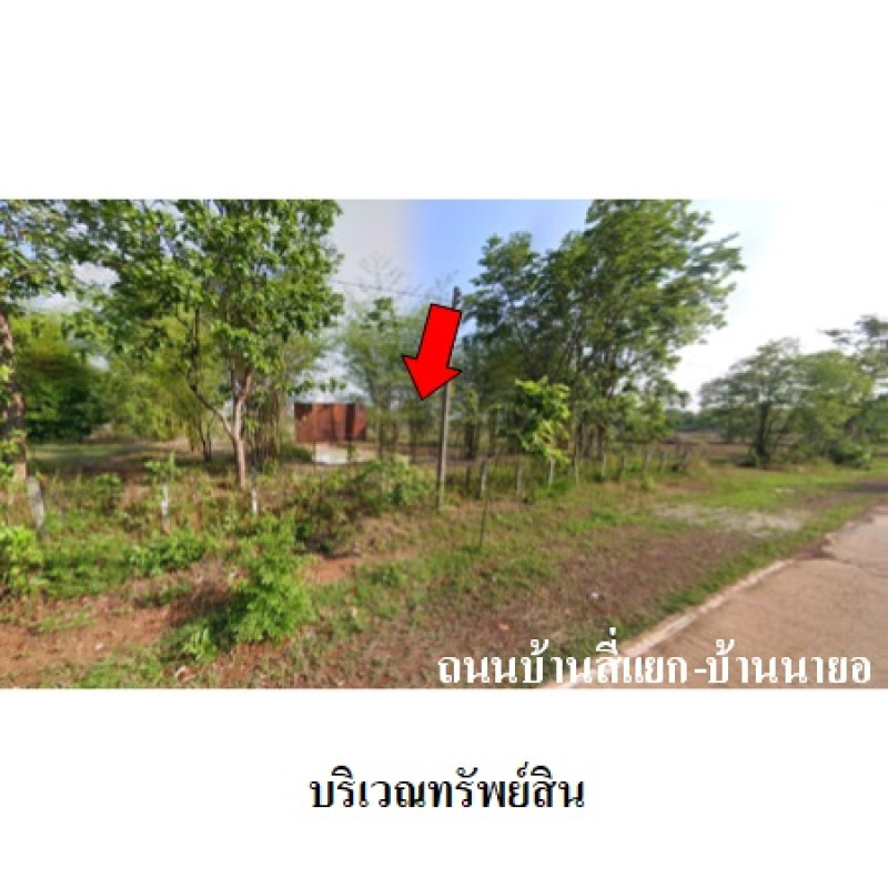 ที่ดินเปล่า สกลนคร อากาศอำนวย บะหว้า 1310000