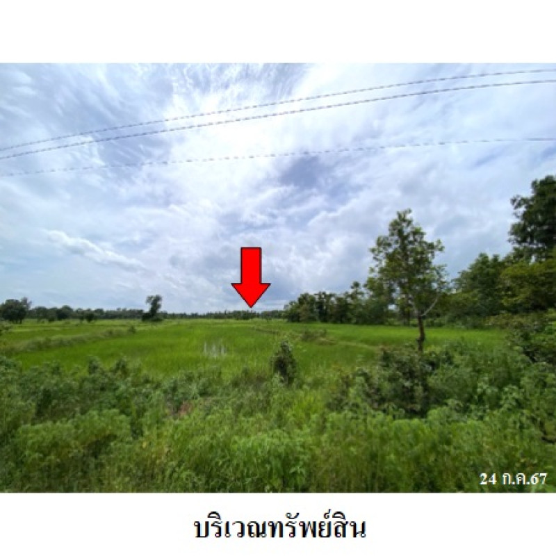 ที่ดินเปล่า สกลนคร อากาศอำนวย บะหว้า 1350000