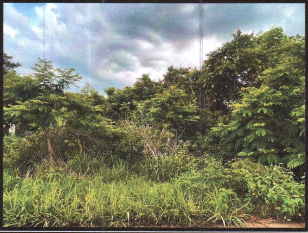 ที่ดินเปล่า สกลนคร เมืองสกลนคร ท่าแร่ 52900