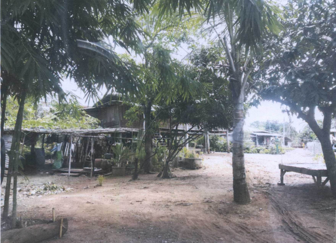 บ้านเดี่ยว นครสวรรค์ หนองบัว วังบ่อ 222450